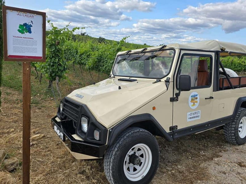 Tavira, Santa Luzia & Wine Tasting - Why This Tour Could Be Your Algarve Highlight