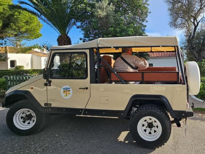 Tavira, Santa Luzia & Wine Tasting - What the Reviews Say