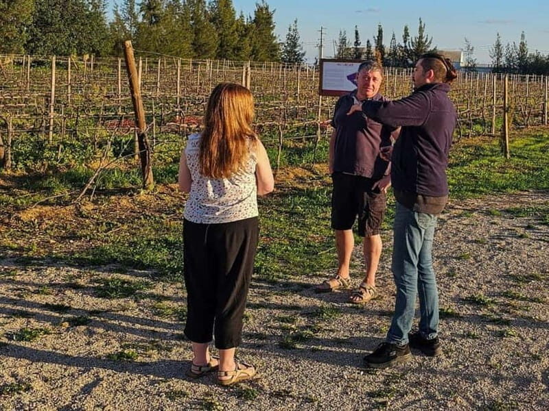 Tavira, Santa Luzia & Wine Tasting - The Practical Side