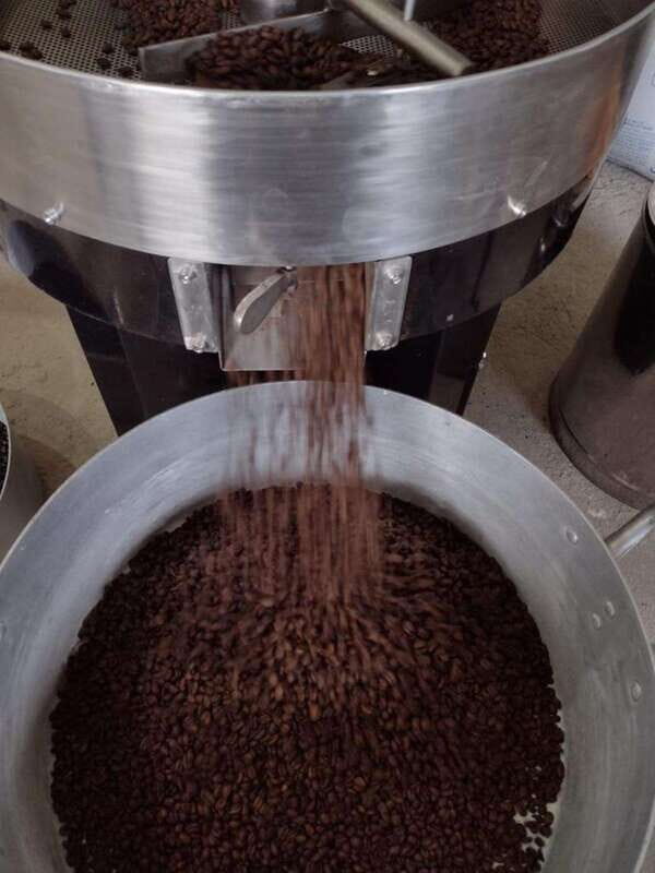 Taxco: Organic Coffee Garden Experience - Detailed Breakdown of the Experience