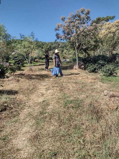 Taxco: Organic Coffee Garden Experience - Practical Tips