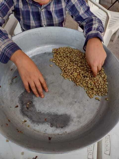 Taxco: Organic Coffee Garden Experience - FAQ