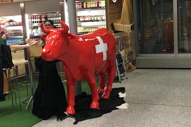 Taxi, Airport Transfer and Limousine Service in Switzerland - Ease of Booking and Flexibility