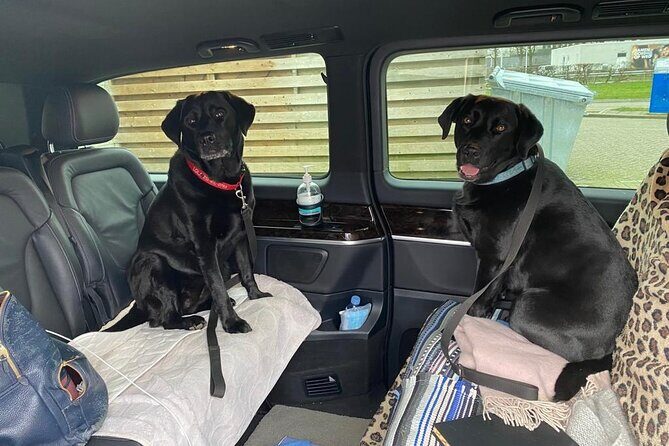 Taxi, Airport Transfer and Limousine Service in Switzerland - The Driver Experience and Customer Service