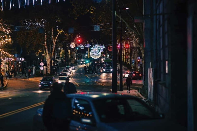 Tbilisi: 2-hours Midnight Express Guided Tour - Who Will Love This Experience?