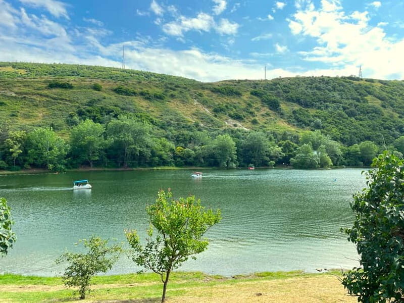 Tbilisi 2 Parks: Turtle Lake & Dedaena Park with Flea Market - What to Expect from the Tour