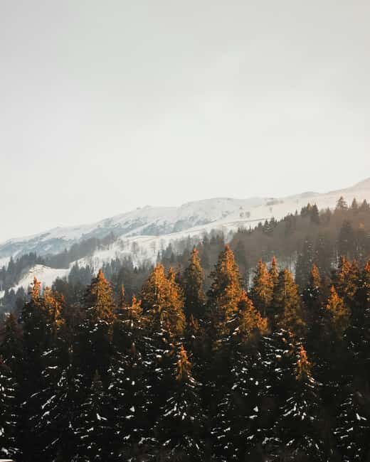 Tbilisi: Bakuriani New Years Eve Overnight Tour - FAQ