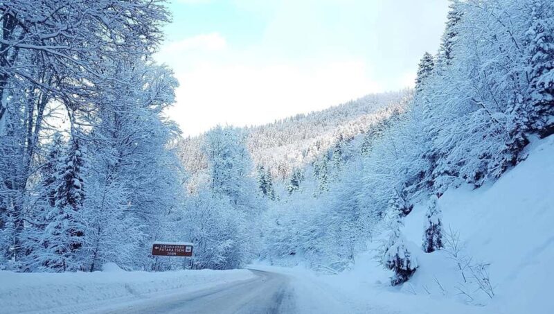 Tbilisi: Borjomi and Bakuriani Day Trip with Guide - Introduction to the Tour