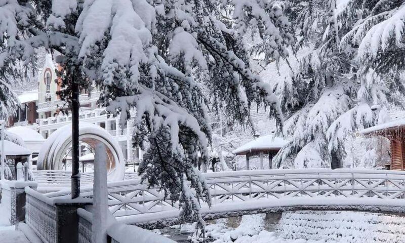 Tbilisi: Borjomi and Bakuriani Day Trip with Guide - Who Is This Tour Best For?