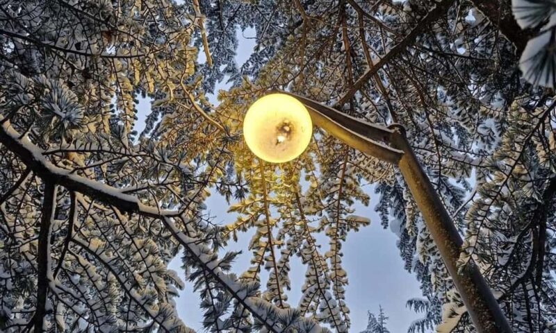 Tbilisi: Borjomi and Bakuriani Day Trip with Guide - Frequently Asked Questions