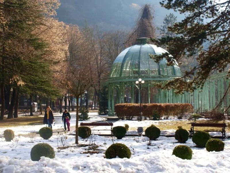 Tbilisi: Borjomi and Bakuriani Day Trip with Guide - Final Thoughts