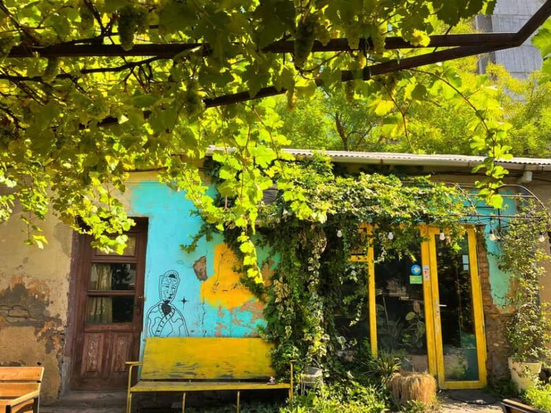 Tbilisi: City of Contrasts Guided Tour with Cable Car Ride - Modern and Artistic Corners