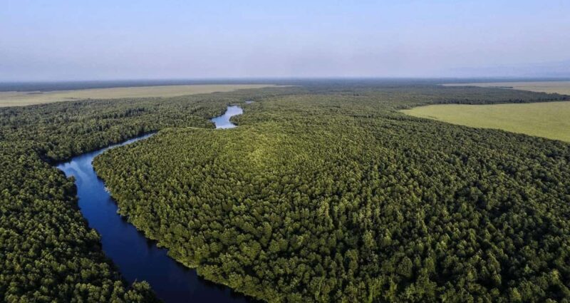 Tbilisi: Dashbashi Canyon and Glass Bridge Day Trip - Key Points