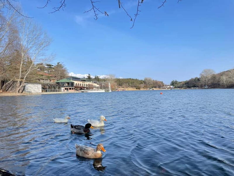 Tbilisi: Elegance of Traditional Architecture & Turtle Lake - Key Points