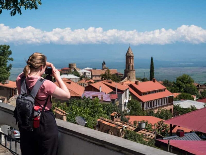 Tbilisi: Kakheti Day Trip with Family Lunch & Wine Tasting - The Itinerary in Detail