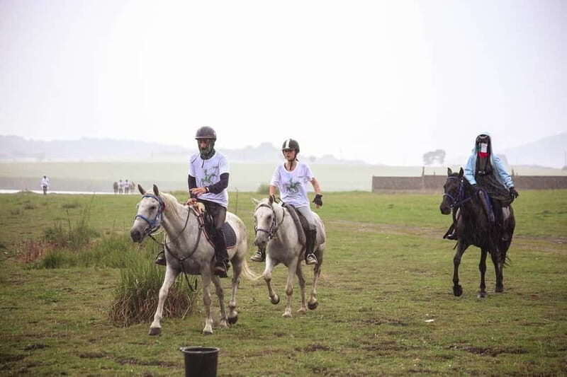 Tbilisi: Kakheti Horse Riding, Wine Tasting, and Cooking - Key Points