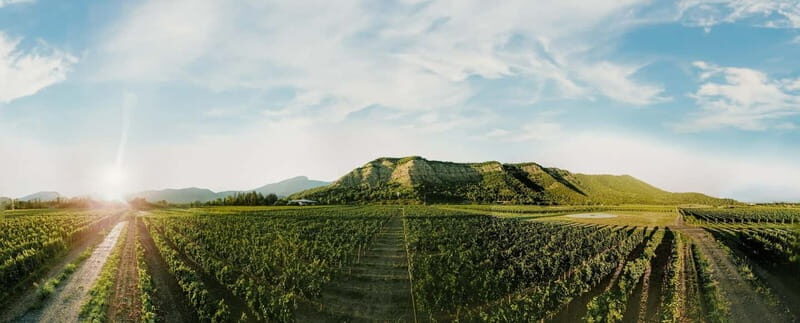 Tbilisi: Kakheti Horse Riding, Wine Tasting, and Cooking - Authenticity and Local Charm