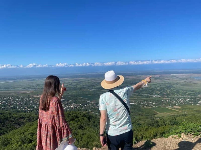 Tbilisi: Kakheti Private Wine Tour with Family Lunch - Practical Notes & Considerations