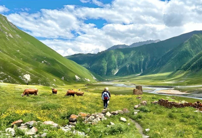 Tbilisi: Kazbegi Gudauri Ananuri and Truso Adventure by 4x4 - Transport, Guides, and Value