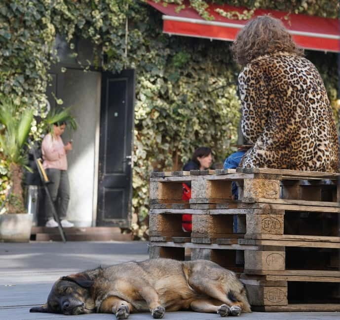 Tbilisi: Left Bank Alternative Street Food Tour with Drinks - Final Thoughts: Who Is This Tour For?