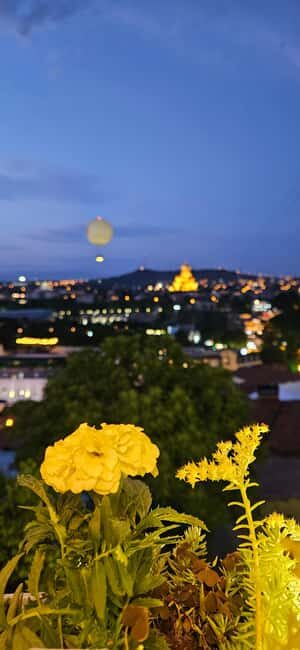 Tbilisi & Mtskheta: Full-Day Private Tour - Who Will Love This Tour?