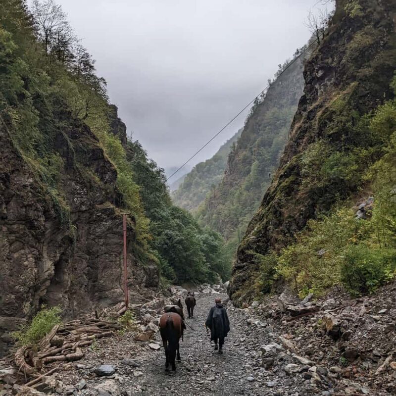 Tbilisi: Pankisi Gorge Horse Riding Tour with Dinner - An Honest Look at the Pankisi Gorge Horse Riding Tour