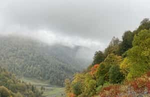 Tbilisi: Pankisi Gorge Horse Riding Tour with Dinner - FAQs