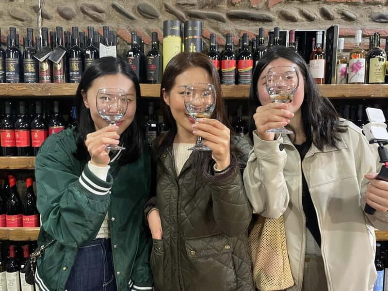 Tbilisi: Private Tour of UNESCO Wonders & Ancient Georgia - Accessibility and Practical Tips