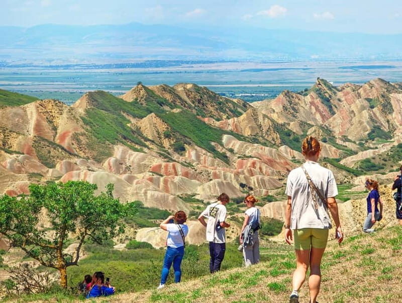 Tbilisi: Real Adventure  Gareja & Rainbow Desert 4x4 + Hike - Downsides and Considerations