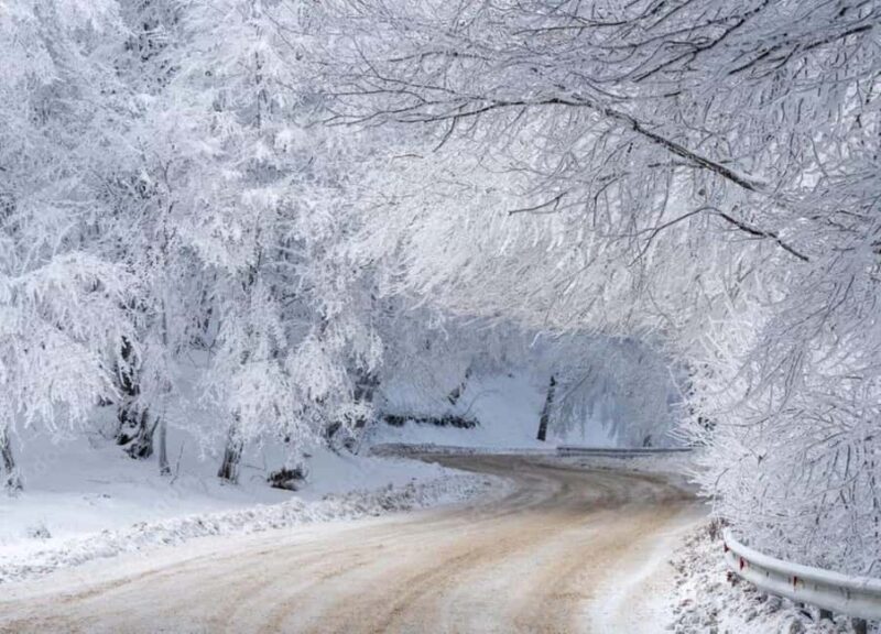 Tbilisi: Sabaduri Forest & Chronicles Tour With Wildlife - Exploring the Sabaduri Forest & Chronicles Tour Near Tbilisi: An Honest Look