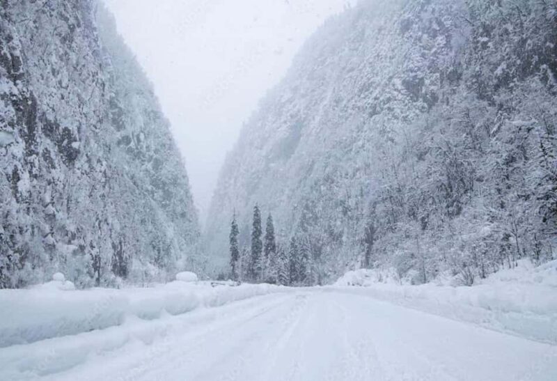 Tbilisi: Sabaduri Forest & Chronicles Tour With Wildlife - The Itinerary in Detail