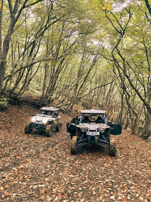 Tbilisi: Self Drive Guided Buggy Tour - Who Should Consider This Tour?