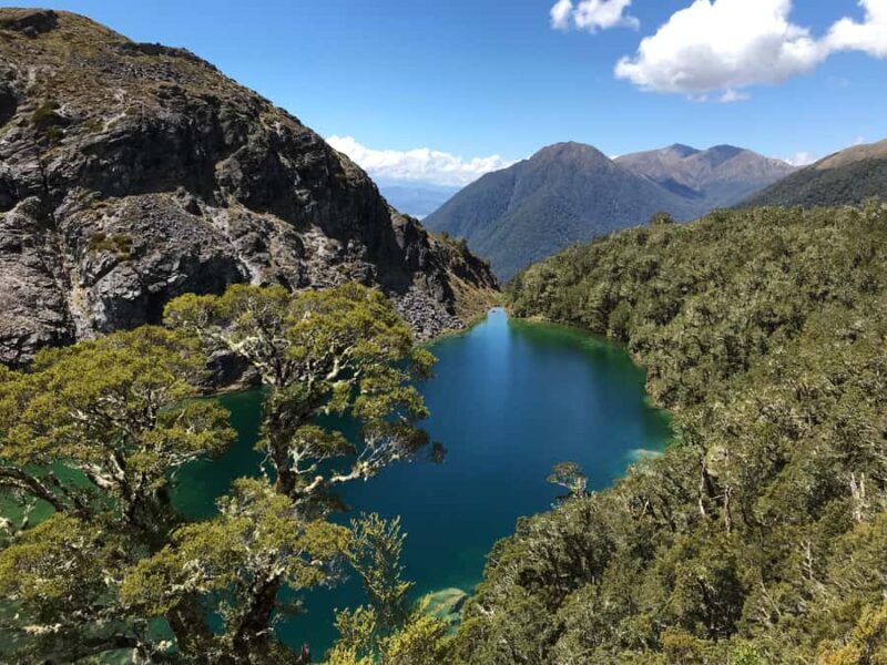Te Anau: 30-Minute Fiordland National Park Scenic Flight - Key Points