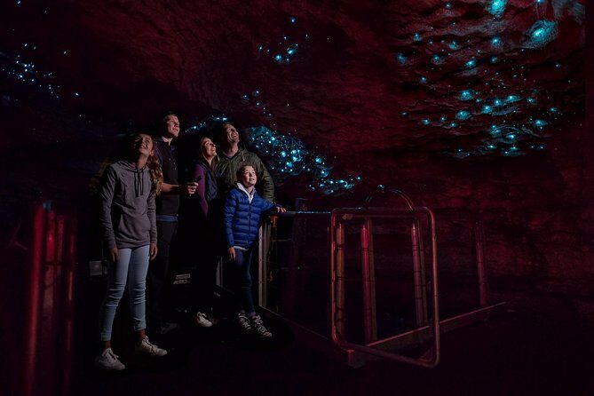 Te Anau Glow Worm Caves Tour - Key Points