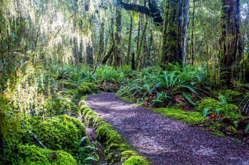 Te Anau: River Jet Boat and Bike Ride Tour with Local Guide - Final Thoughts