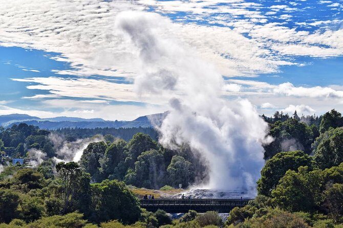 Te Puia Geothermal Wonderland Private Tour From Auckland - An In-Depth Look at the Tour Experience