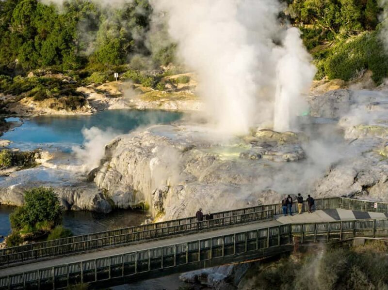 Te Puia: Te P Indigenous Combo - Tour, Dinner + Haka - The Value Proposition