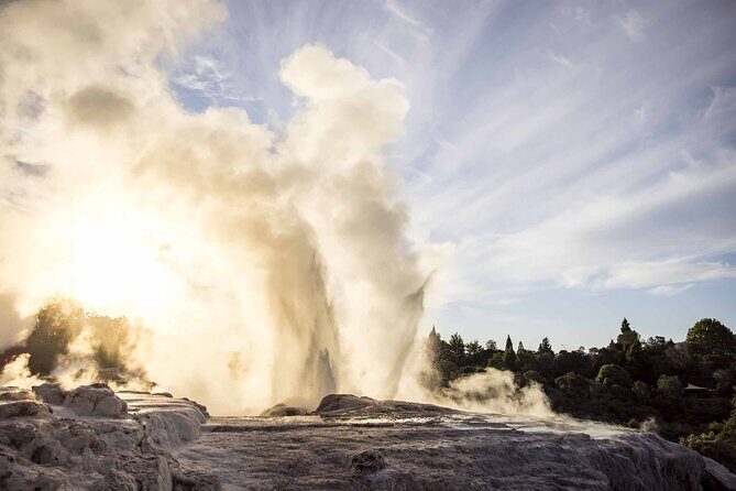 Te Puia: Te P Indigenous Evening Experience Combo - Analyzing the Value