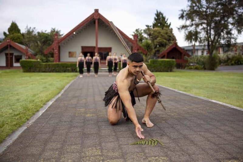 Te Puia: Te R Guided Day Tour + Haka Cultural Performance - An In-Depth Look at the Tour Experience