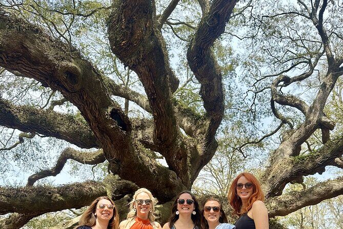 Tea Plantation and Winery Tour in Charleston - A Closer Look at the Charleston Tea Plantation