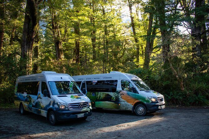 TeAnau to Queenstown via Milford Sound Tour with Cruise and Lunch - Who Will Love This Tour?