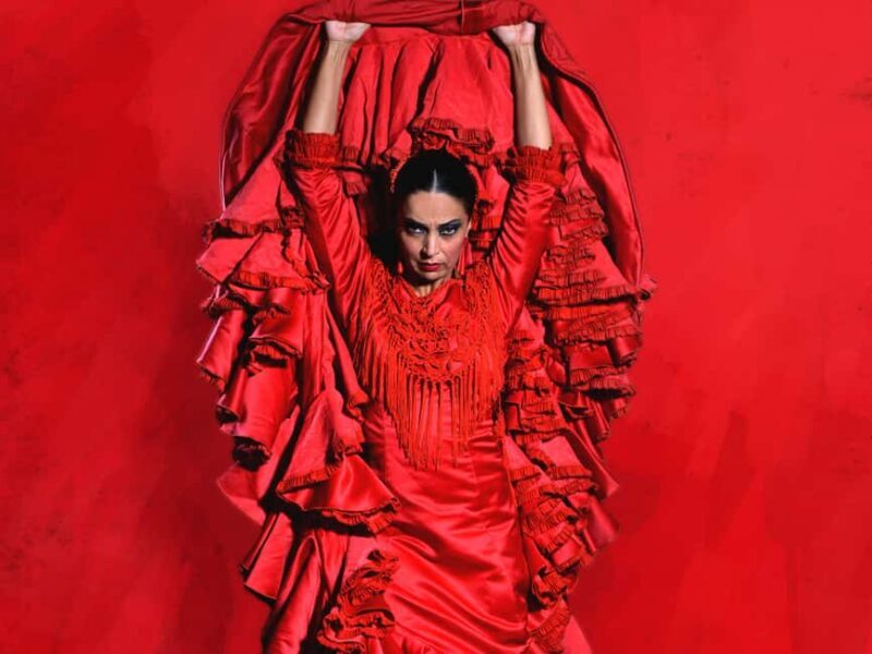Teatro Flamenco Barcelona: An Authentic Flamenco Show Live - Final Thoughts