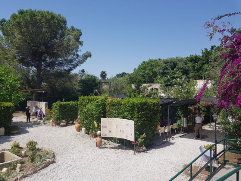 Tecnoparco Archimede Museum Exhibition Ticket - What the Visitors Say