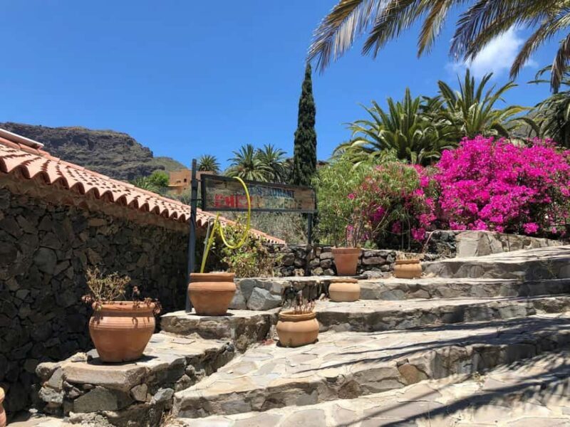 Teide and Masca tour from southern Tenerife - Visiting Masca: The Remote Mountain Village