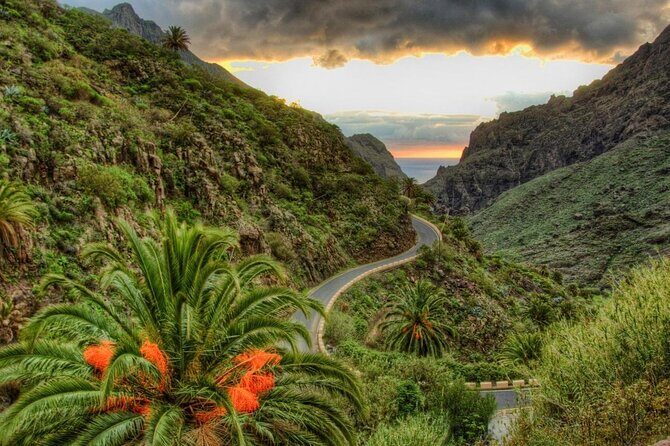 Teide-Icod-Garachico-Masca (Most popular bus tour in Tenerife) - Key Points