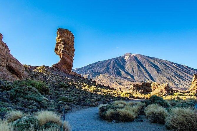 Teide-Icod-Garachico-Masca (Most popular bus tour in Tenerife) - A Deep Dive Into the Tour Experience
