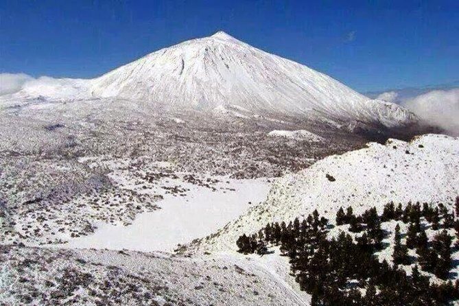 Teide-Icod-Garachico-Masca (Most popular bus tour in Tenerife) - FAQs