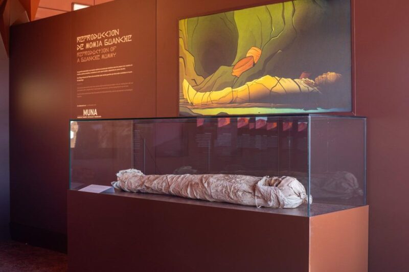 Teide Legends Exhibition Entry Ticket - What to Expect at the Teide Legends Exhibition