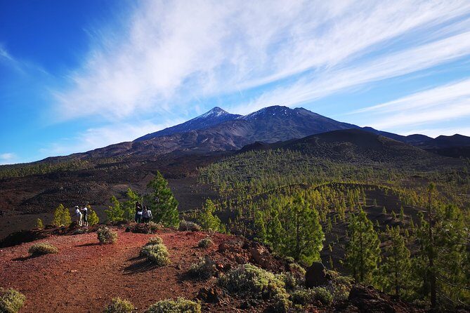 Teide National Park for smaller groups - The Sum Up