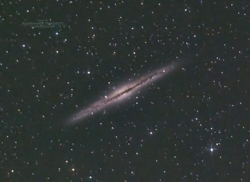 Teide National Park: Guided Large Telescope Stargazing Tour - Key Points